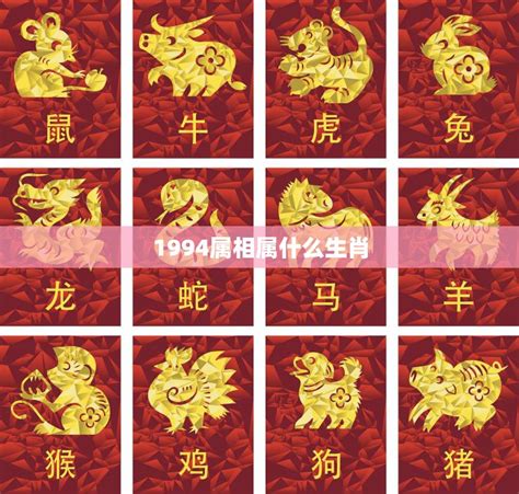 1994 年屬什麼|1994年属什么生肖 和什么属相婚配最合适